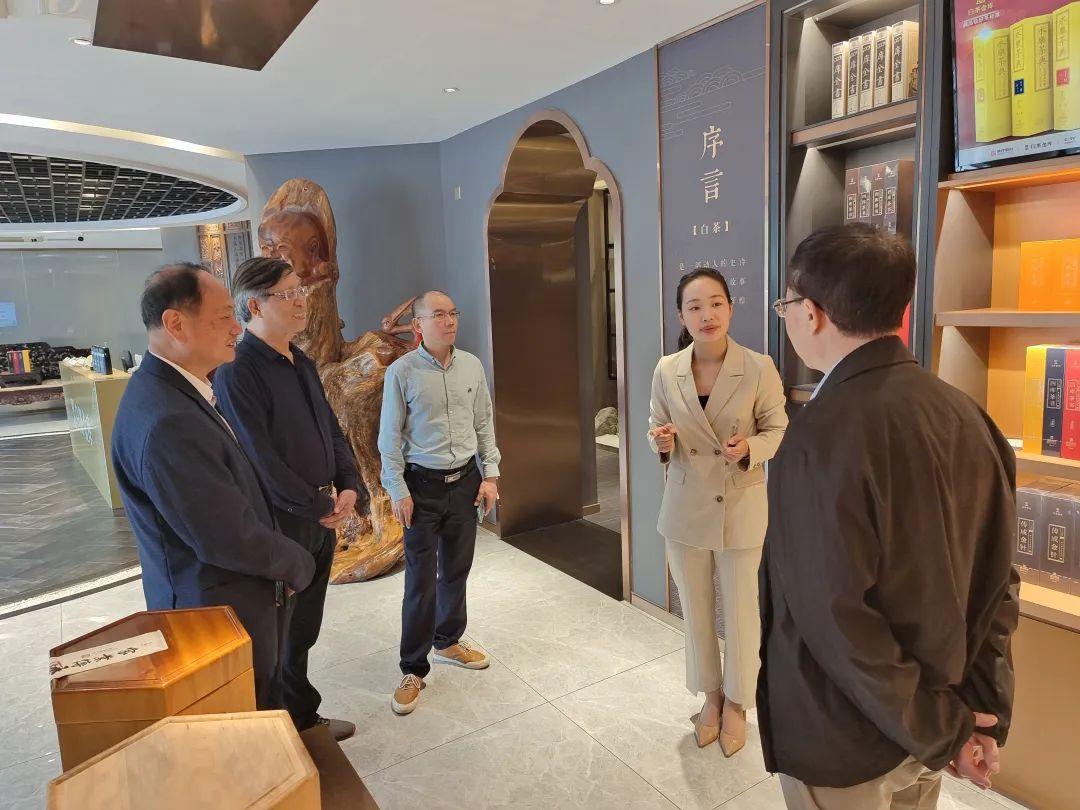 福建安溪茶葉市場在哪里唐樸茶葉什么品牌