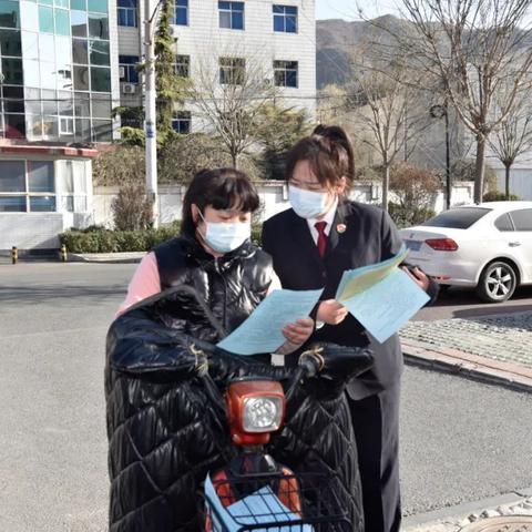 保定市有树林吗在哪里啊