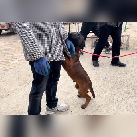 河南闺女怎么样撒娇