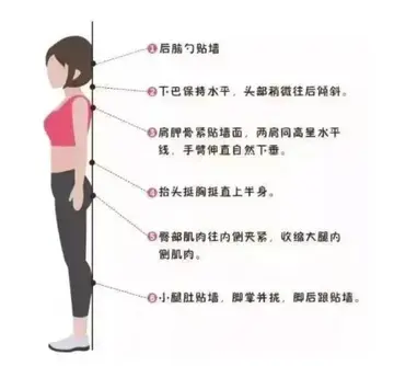 静脉曲张的危害有哪些副业 chatgpt的危害