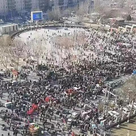 保定市元宵哪里买的到