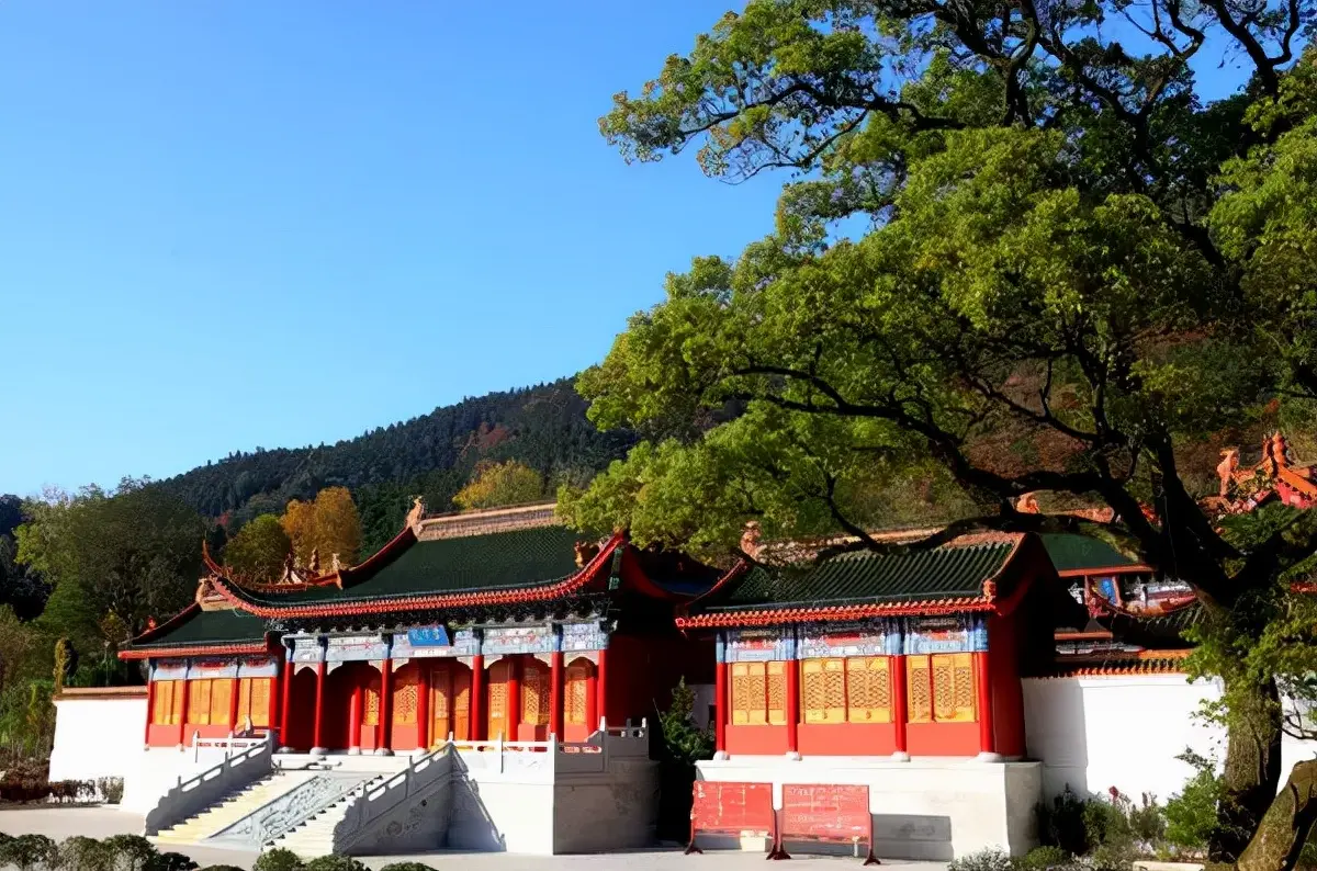 海外媒体分类 sss海外分类