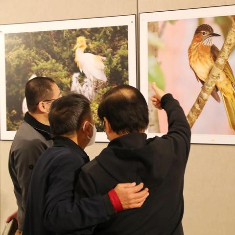 厦门市哪里有在卖鸟