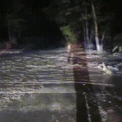 从内蒙古运羊到内地贩卖怎么样？