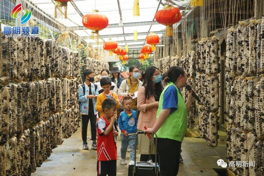 高明有什么美食特产（为什么蒸肉却是别的地方的特色菜）