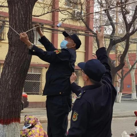 邯郸市城管支队的职责是什么