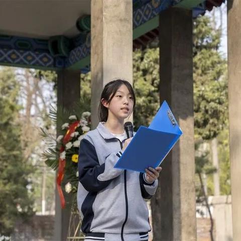 河北保定市都有哪些学校