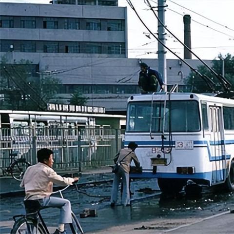 哈尔滨女老板招司机相关长尾关键词有哪些