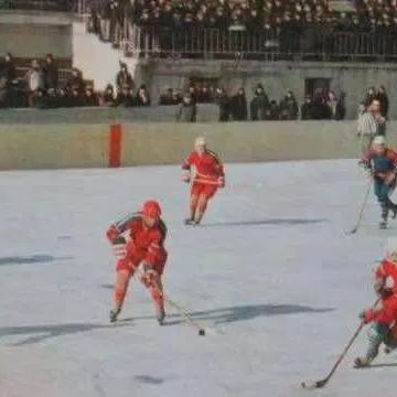 哈尔滨哪里买木工工具相关长尾关键词有哪些