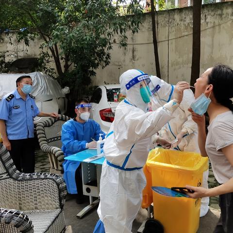 成都市府青路在哪里