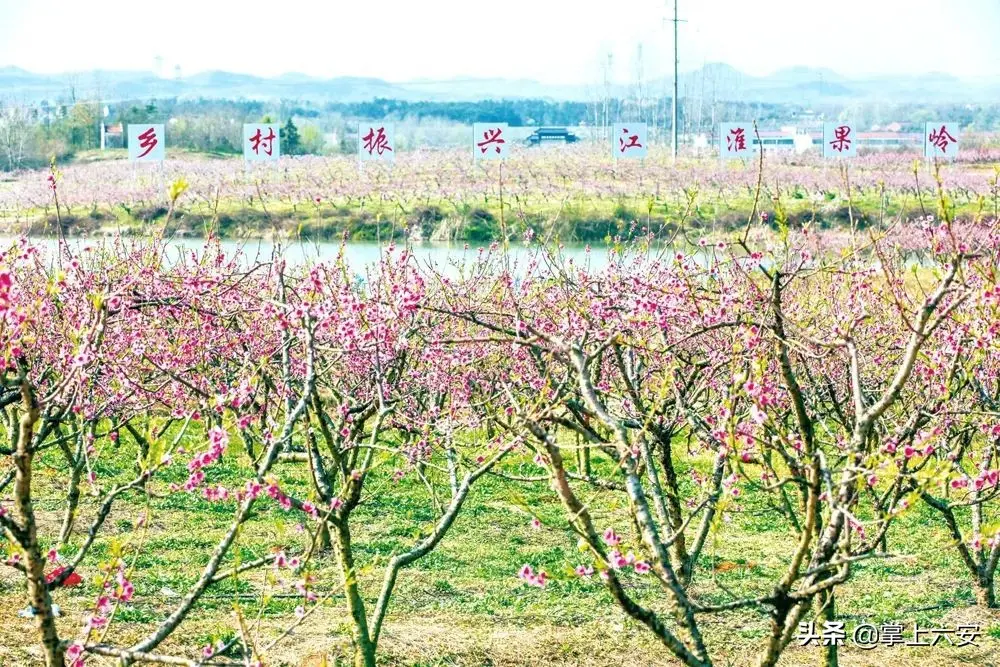 创业要学什么专业 什么专业要学跨境电商