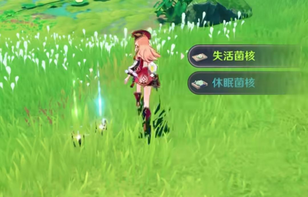 原神须弥教堂怎么去（须弥怎么开启主线任务）