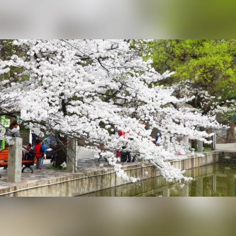 河南省信阳市的鸡公山的相关长尾关键词有哪些