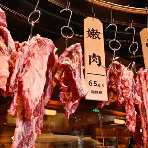 哈尔滨鱼头相关长尾关键词有哪些