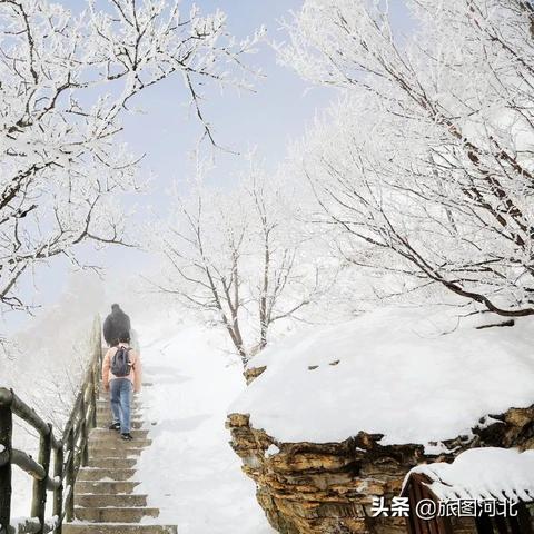涞源22号天气预报的长尾关键词有什么
