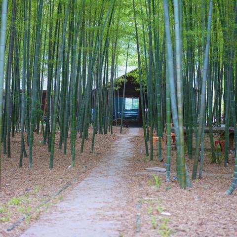 无锡市烧烤保鲜柜批发的长尾关键词有什么