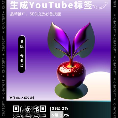 seo标签怎么用