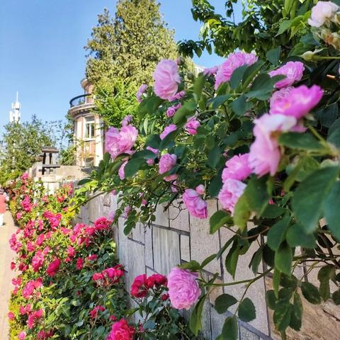 大连市什么时候上班时间