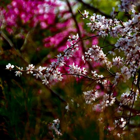 哈尔滨北方文艺出版社相关长尾关键词有哪些