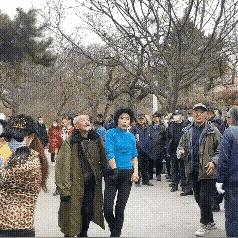 沈阳哪个公园比较好玩相关长尾关键词有哪些