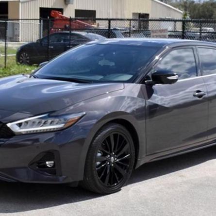 龙2025生肖年运势查询(属龙2023年运势及运程_2025年属龙人的全年运势)