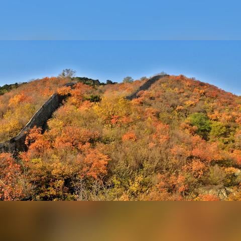 南宁市哪个区适合居住的