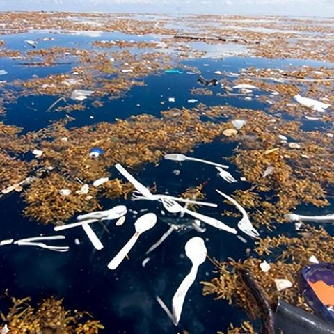 福建到广东的动车的相关长尾关键词有哪些