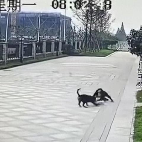成都市招聘地铁保洁员的长尾关键词有哪些