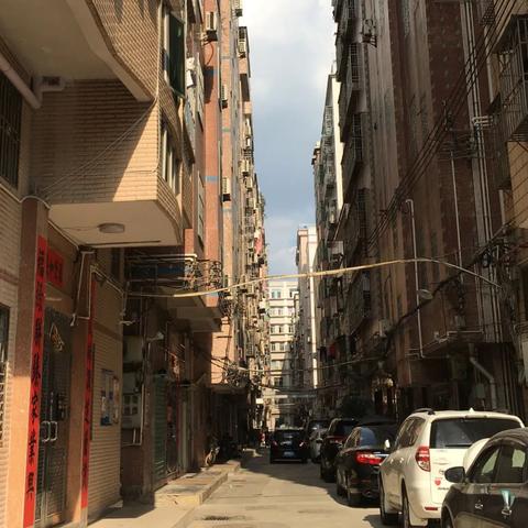 龙岗区和深圳市哪个大