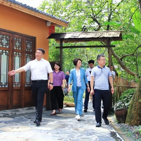 长沙市哪个区发展最好