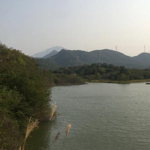 深圳市龙岗区横岗镇是属什么方向？