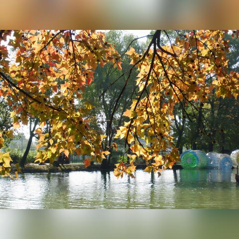 苏州市第二山是什么山