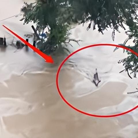 哈尔滨市共有多少条河流