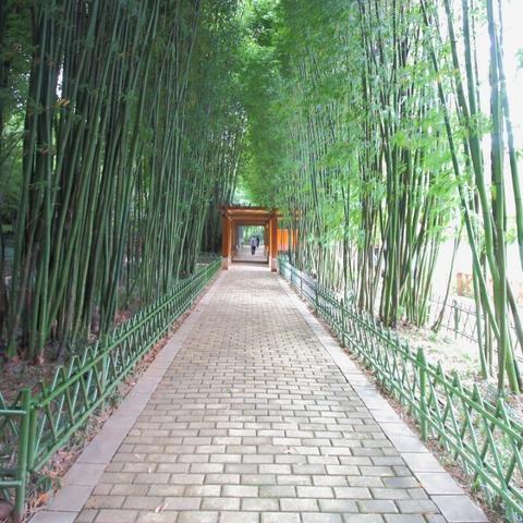 沈阳翠湖米线相关长尾关键词有哪些