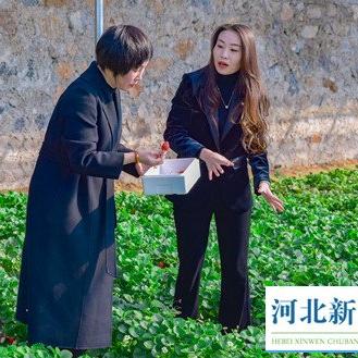 保定市户外扎营地的长尾关键词有哪些