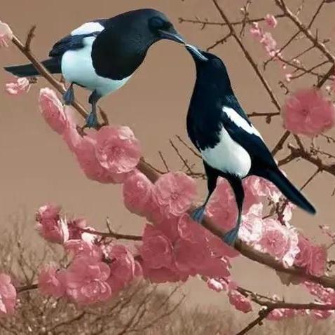 扣头像 软件的长尾关键词有什么