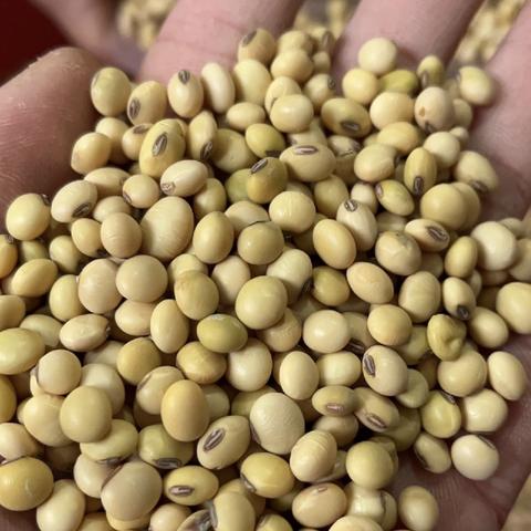 济南食品氮相关长尾关键词有哪些