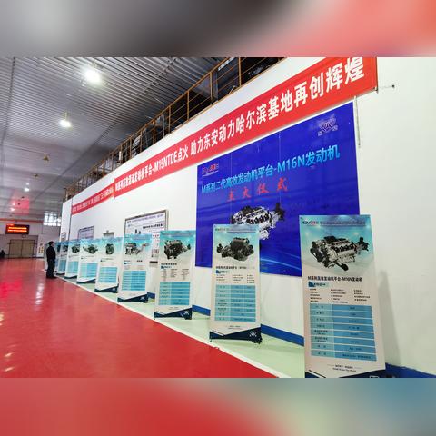 哈尔滨市二院nt多少钱