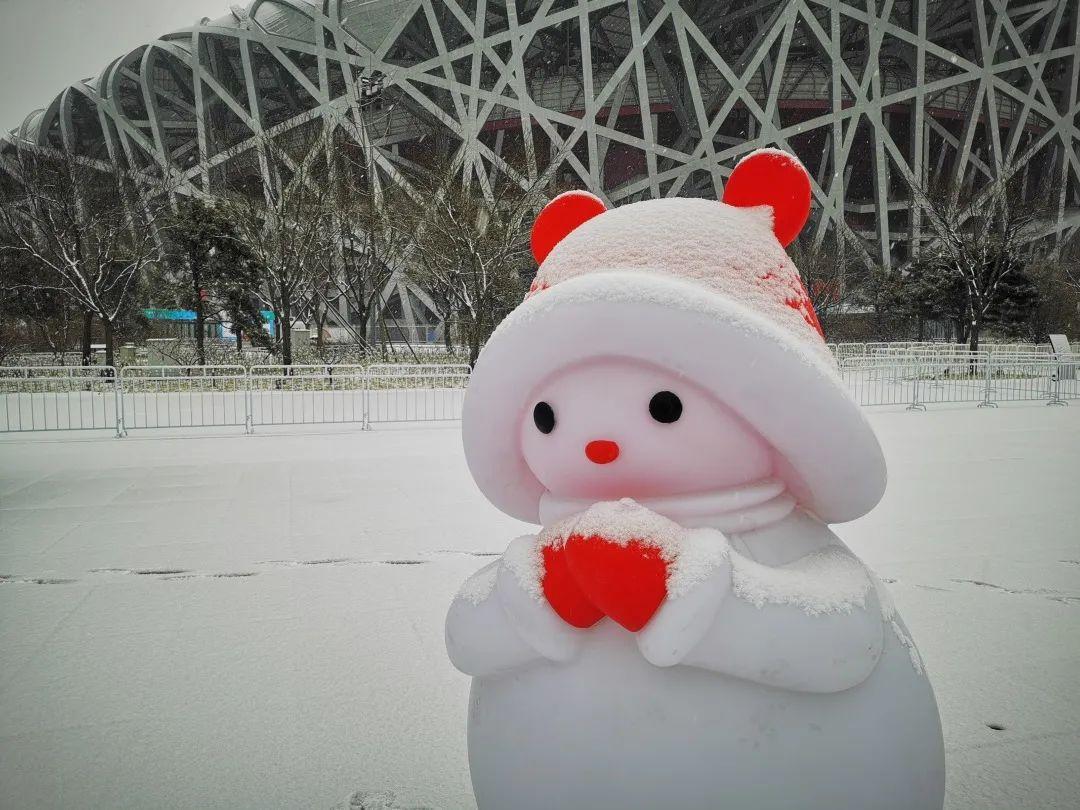 雪起名虎宝宝怎么起(大雪的三候又是指啥)