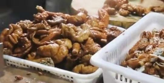 成都老板半山腰开饭店，提前三天预定都没位，生意太好拒绝宣传