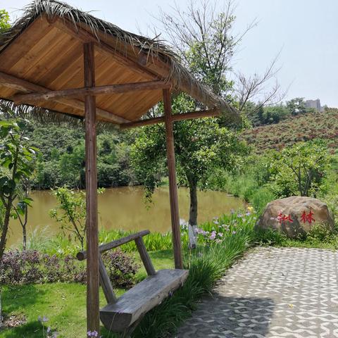 重庆壁山区大路镇天气预报的长尾关键词有什么