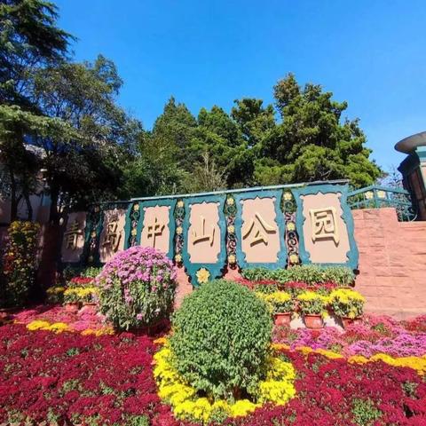 天津中山公园的花怎么样