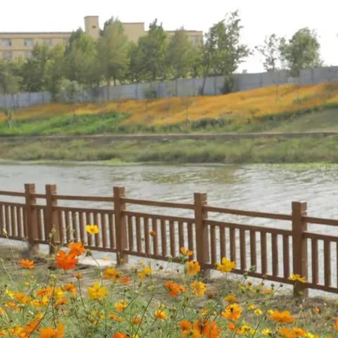 临沂市兰山区景色怎么样