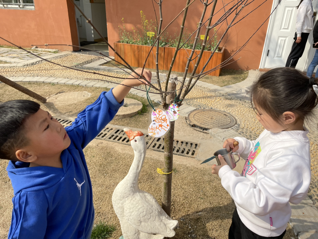 2019幼儿园植树节报道