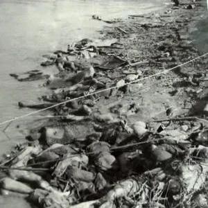 苏州常熟汽车资格证怎么考