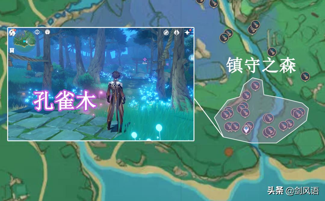 原神镇守之森的结界怎么过（原神突破前攻略）