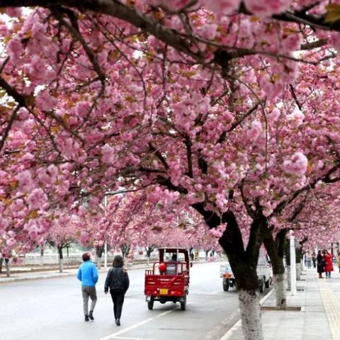 兰州天空蓝图片的相关长尾关键词有哪些