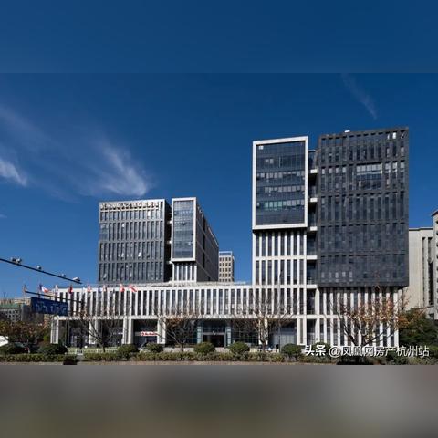 怎样联系杭州滨江办事大厅社保查询？