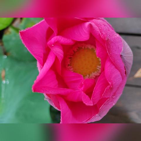 早餐店大连市什么时候开张