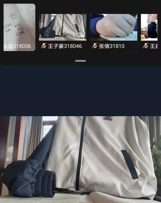 网课可以自设“背景图”后，学生恶搞老师，假装自己在叙利亚上课